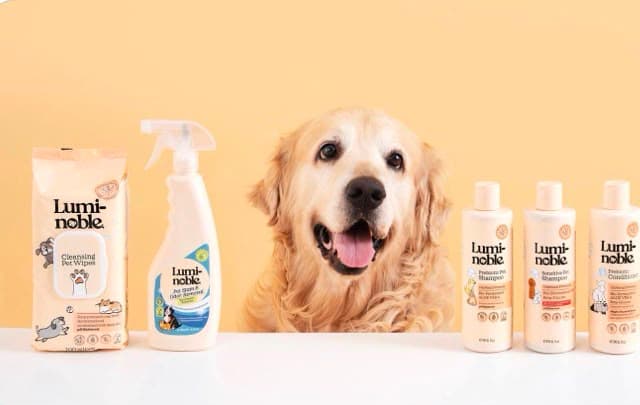 A golden retriever with a lineup of pet bath and coat-care products